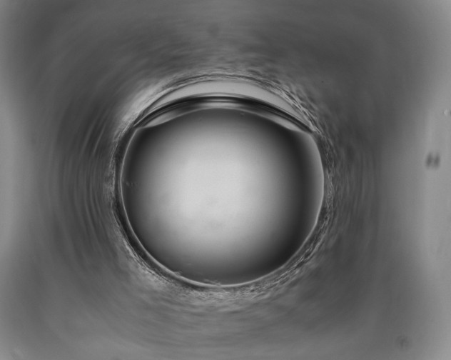 X0000090860005200707271239
