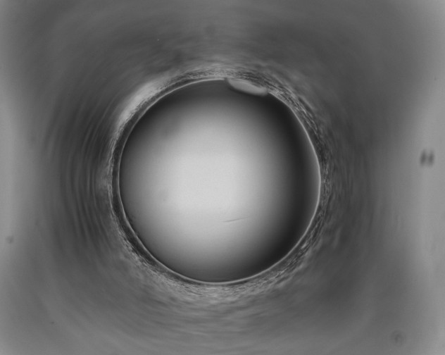 X0000090860006200707271238
