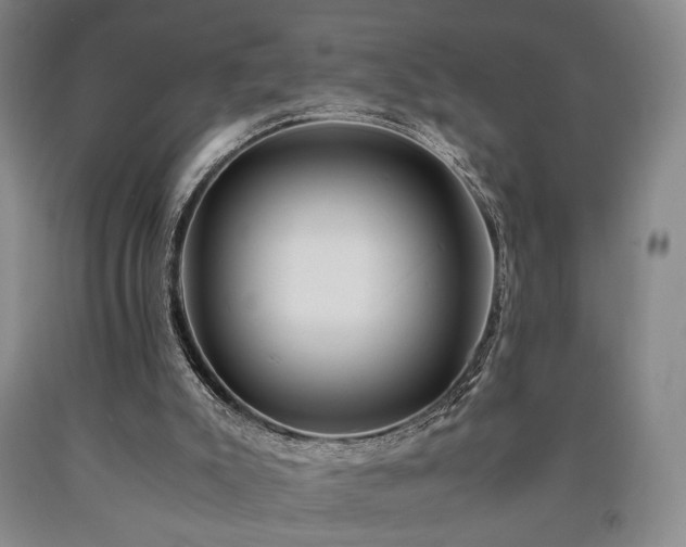 X0000090860007200707271238