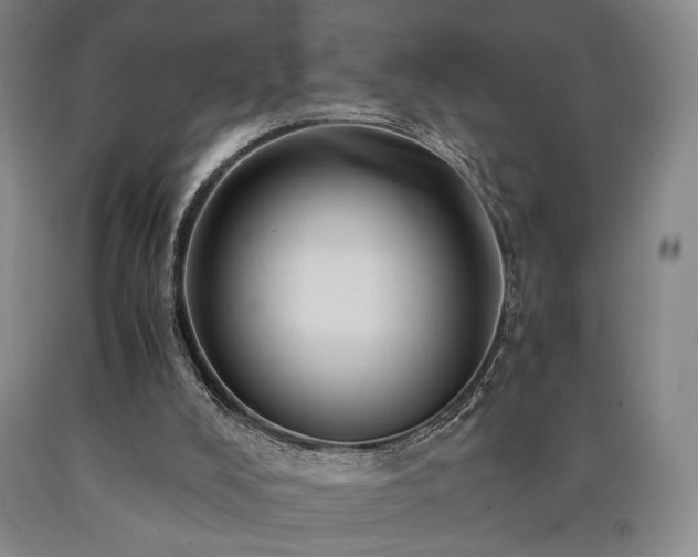X0000090860008200707271238