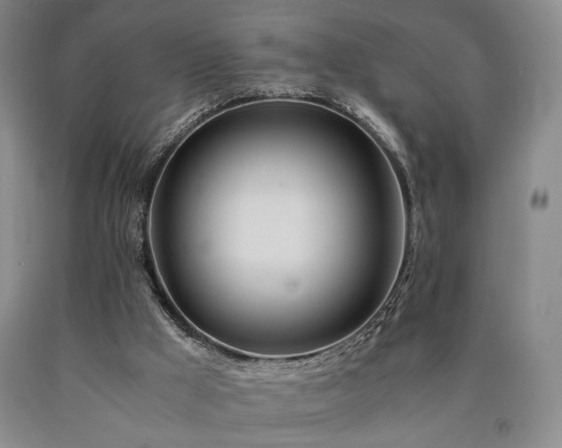 X0000090860009200707271238