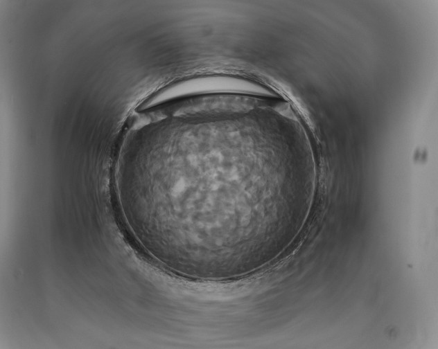 X0000090860010200707271238