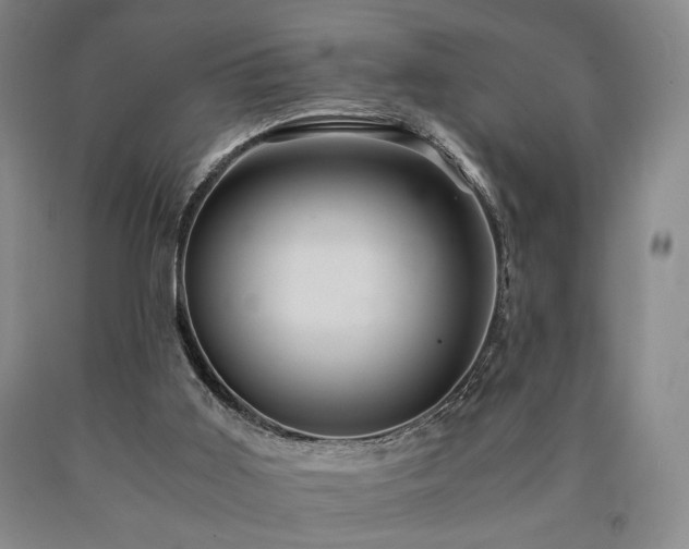 X0000090860011200707271238