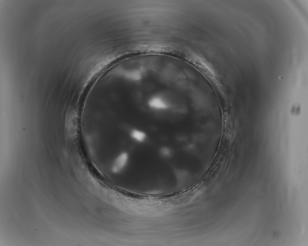 X0000090860012200707271238