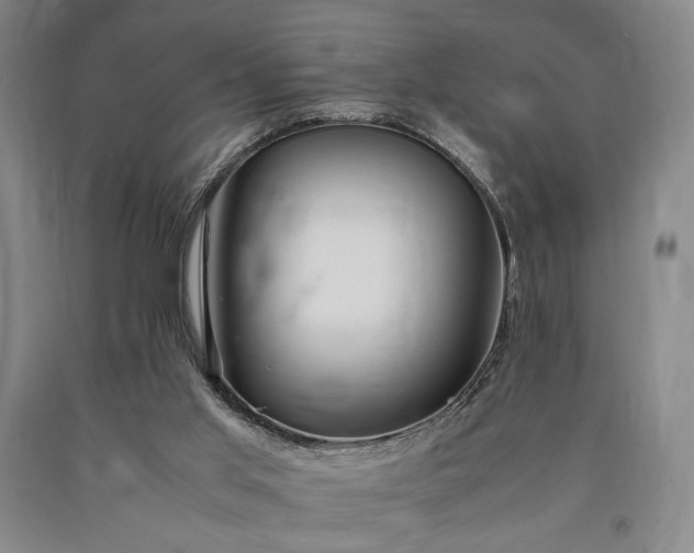 X0000090860013200707271238