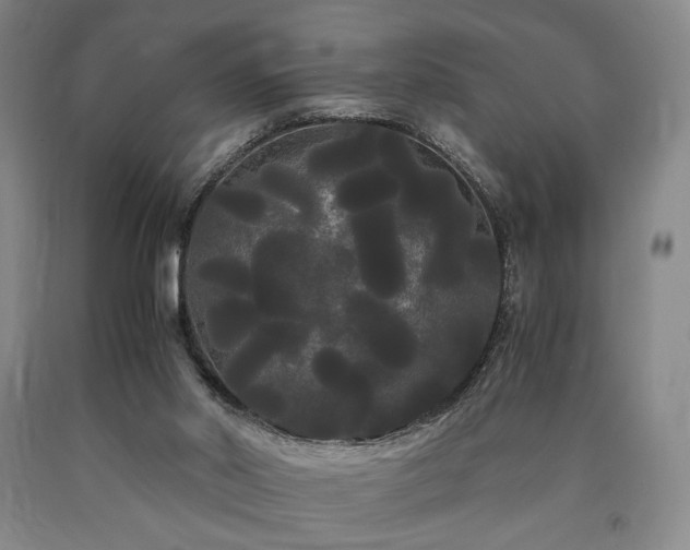 X0000090860014200707271238