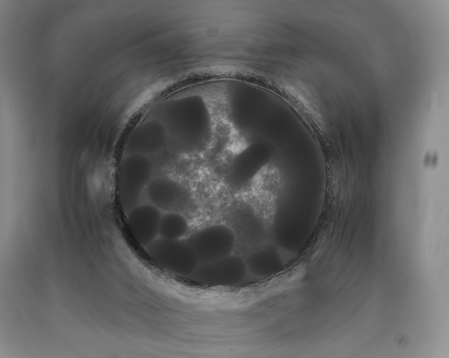 X0000090860016200707271238