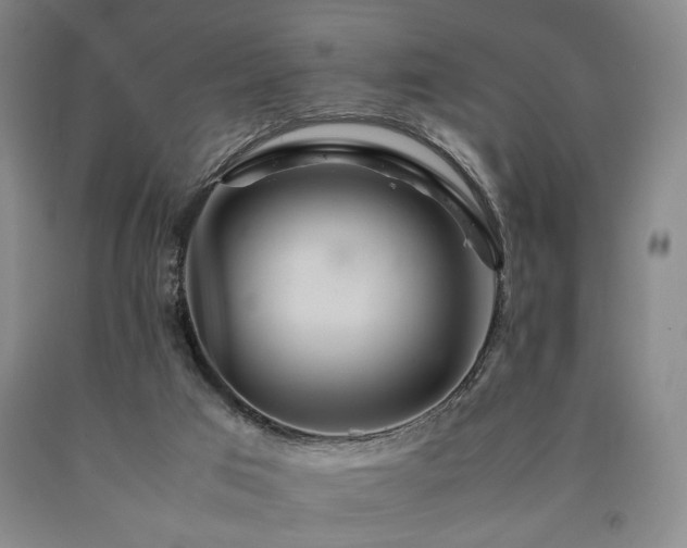 X0000090860017200707271238