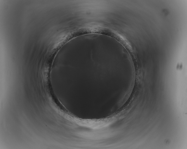 X0000090860018200707271238