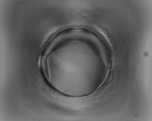 X0000090860019200707271238