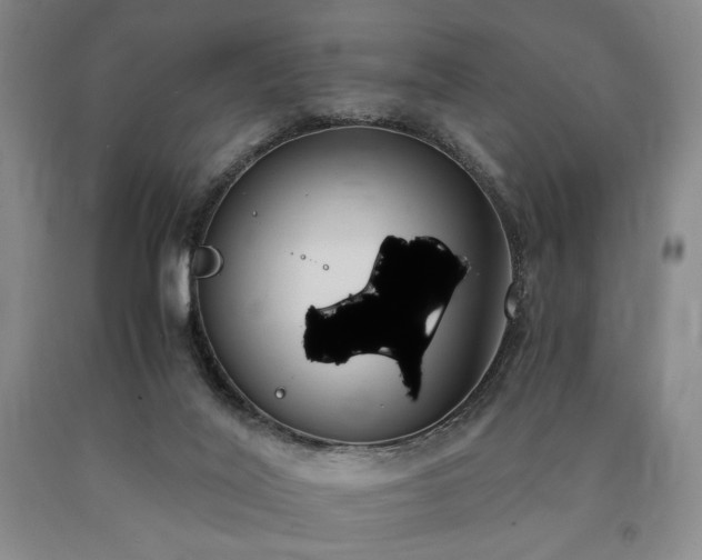 X0000090860020200707271238