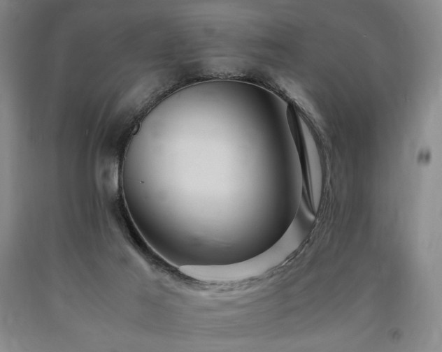 X0000090860021200707271238