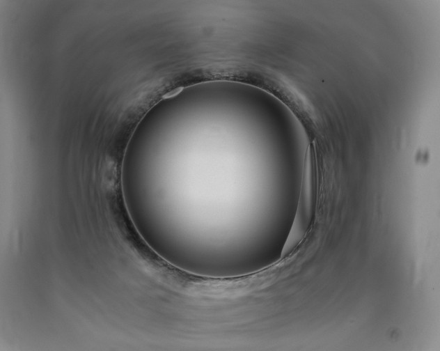 X0000090860025200707271238