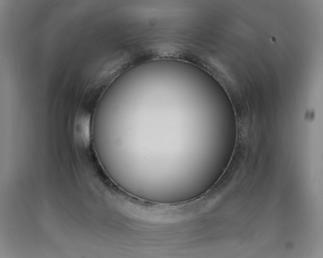 X0000090860028200707271238