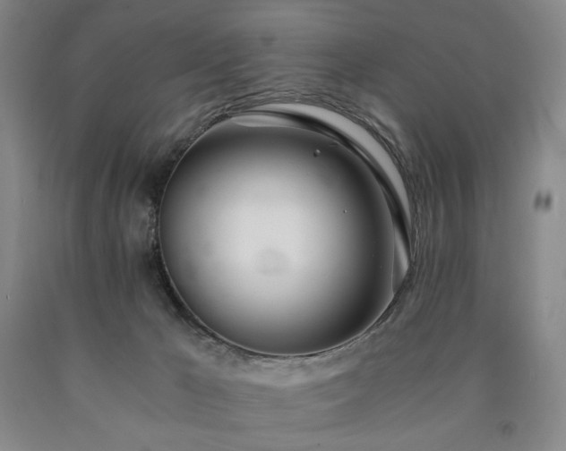 X0000090860029200707271238