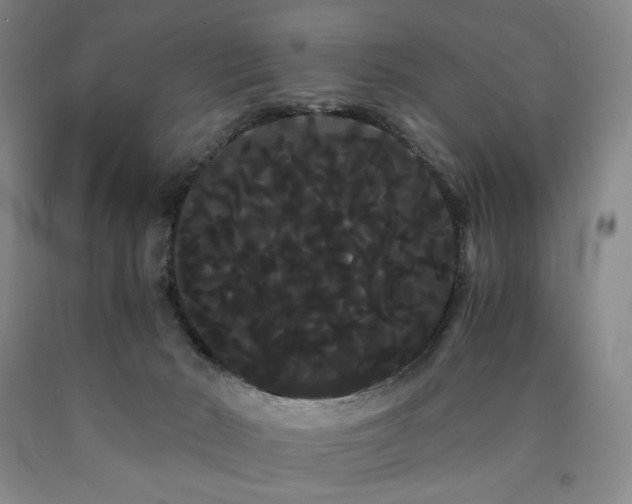 X0000090860030200707271238