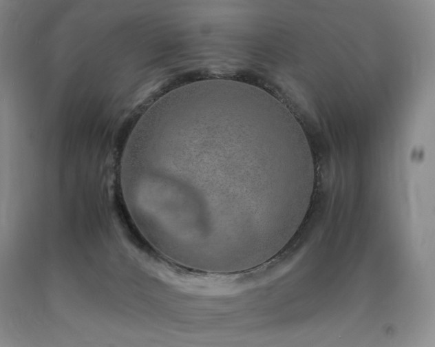 X0000090860032200707271238