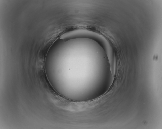 X0000090860033200707271238