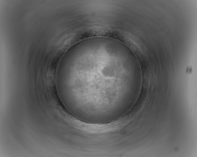 X0000090860034200707271238
