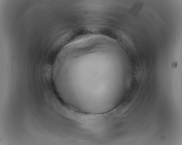 X0000090860036200707271238
