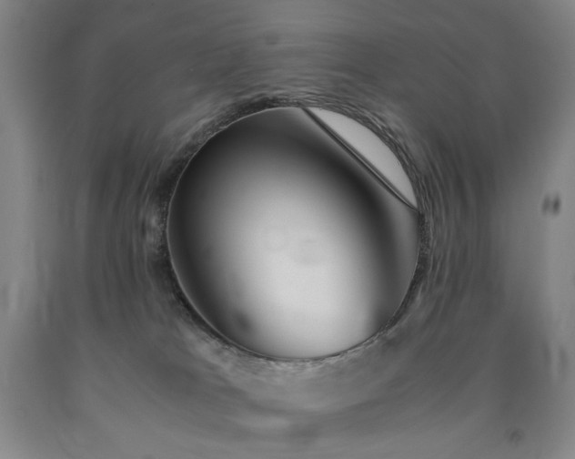 X0000090860037200707271238