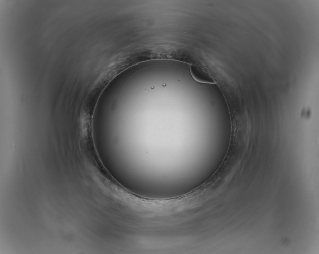 X0000090860038200707271238