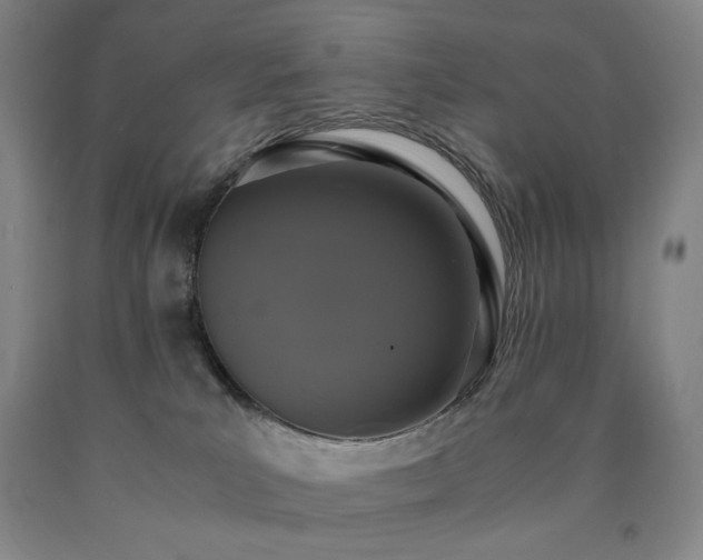 X0000090860039200707271238