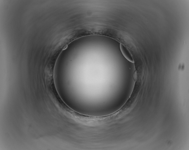 X0000090860040200707271238