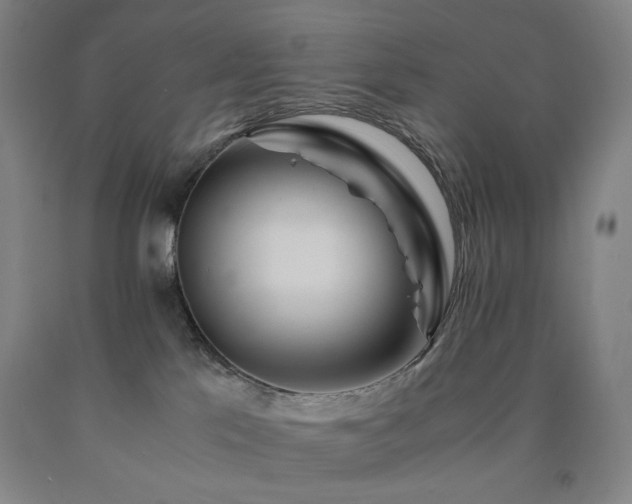 X0000090860041200707271238