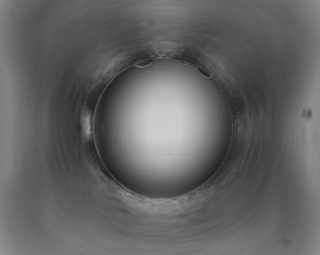 X0000090860042200707271238