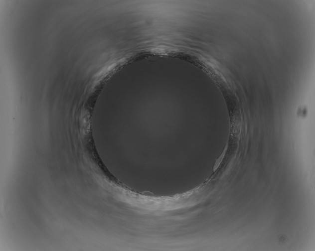 X0000090860043200707271238