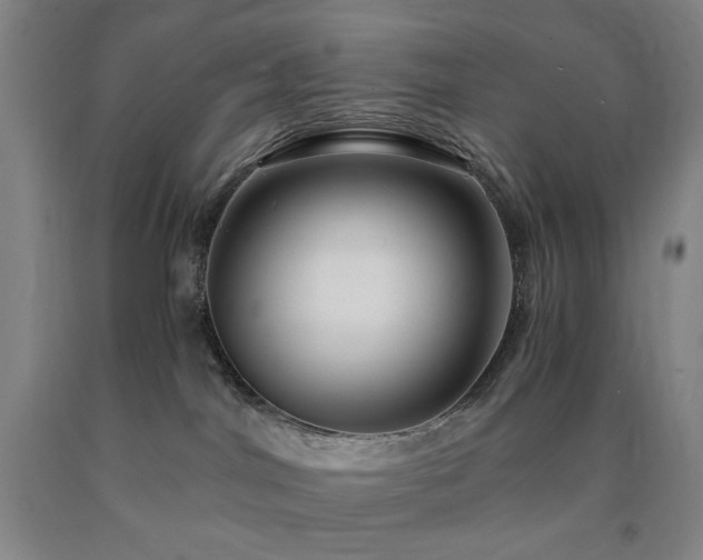 X0000090860044200707271238