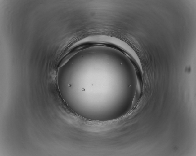 X0000090860045200707271238