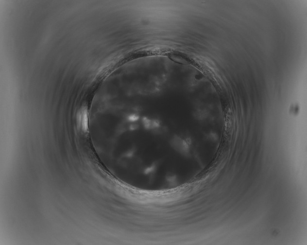 X0000090860046200707271238
