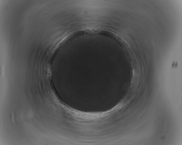 X0000090860048200707271238