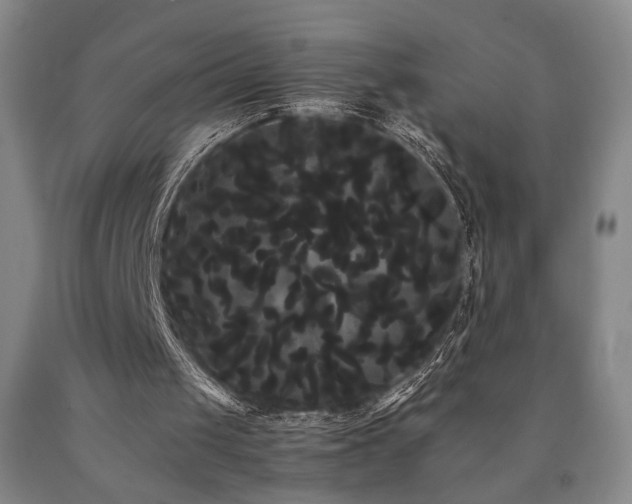 X0000090860049200707271237