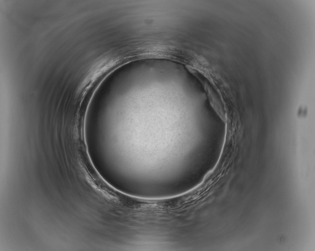 X0000090860050200707271237