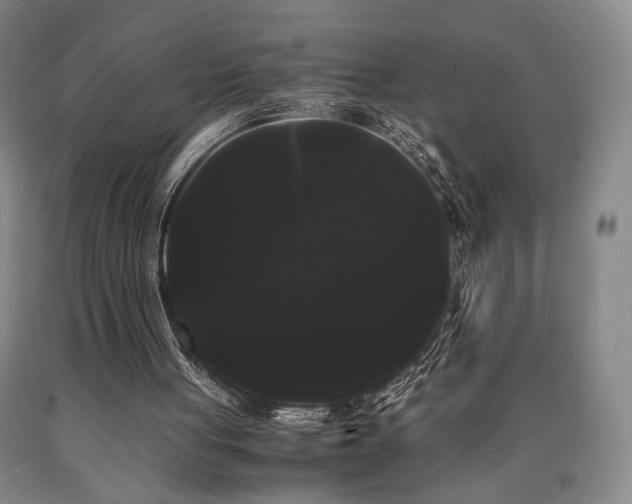 X0000090860051200707271237