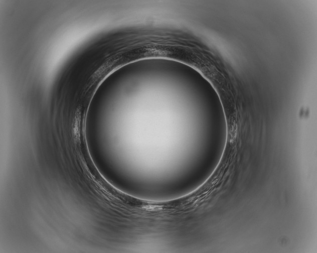 X0000090860052200707271237