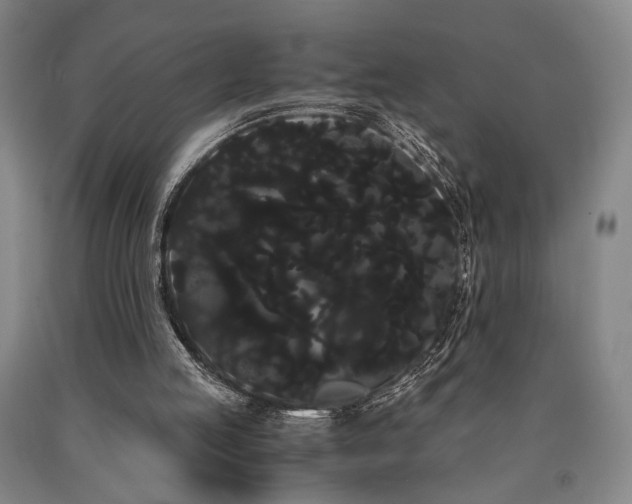 X0000090860053200707271237