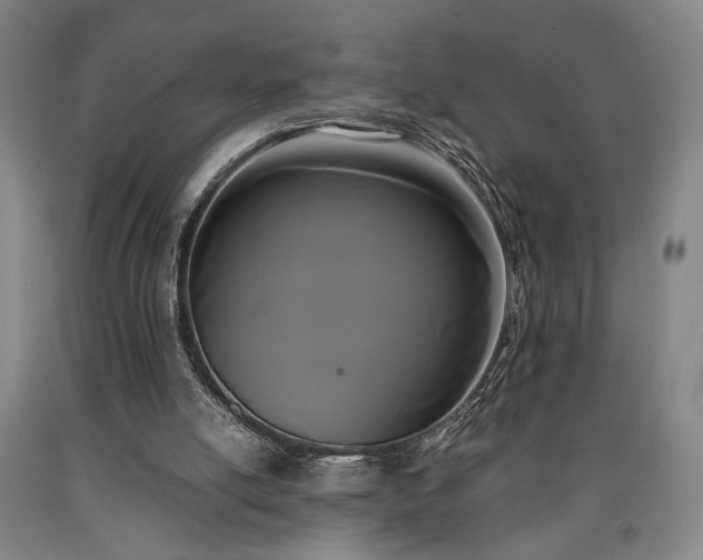 X0000090860054200707271237
