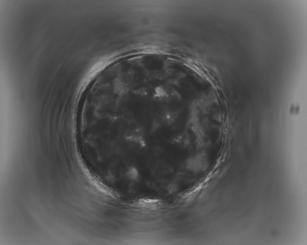 X0000090860055200707271237