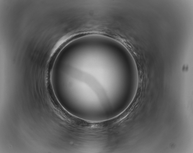 X0000090860056200707271237