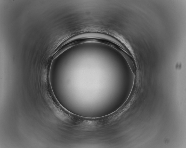 X0000090860057200707271237