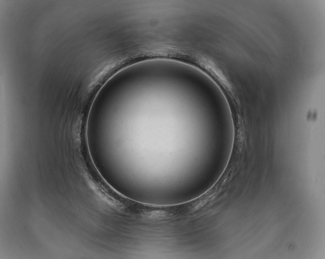X0000090860058200707271237