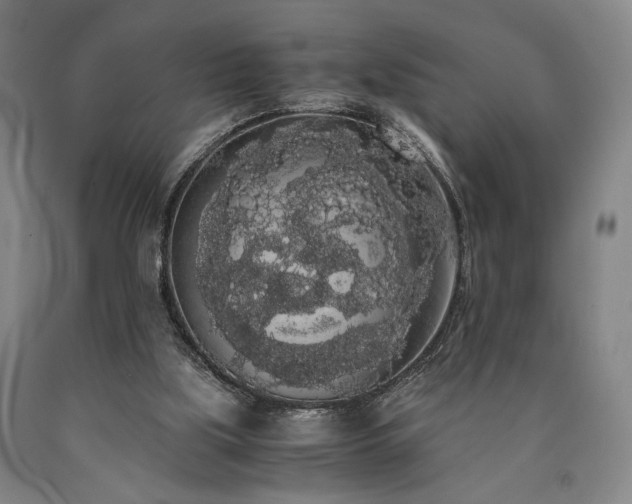 X0000090860059200707271238