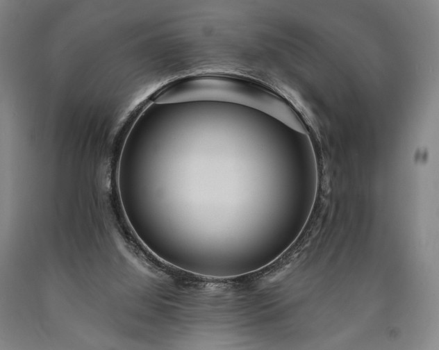 X0000090860060200707271238