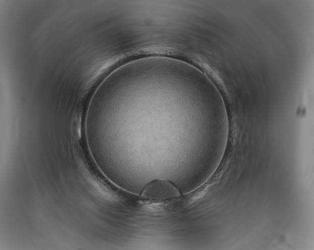 X0000090860062200707271238