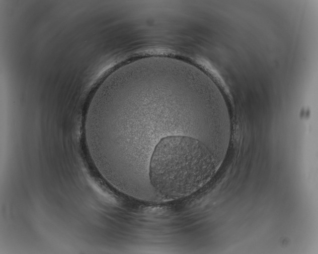 X0000090860063200707271238