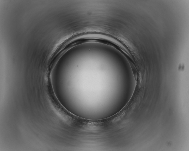 X0000090860064200707271238